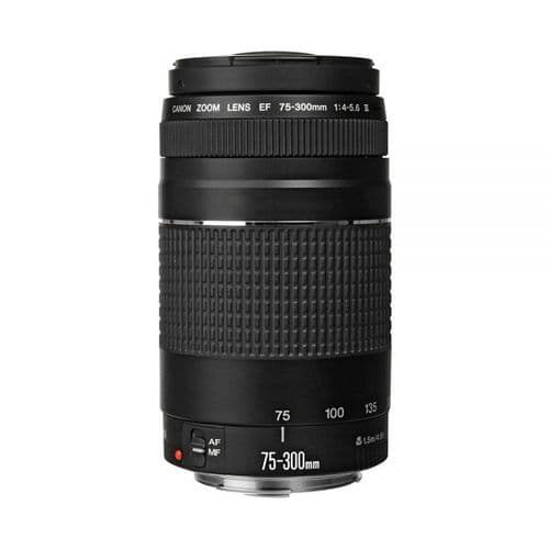 Lente Canon EF 75-300mm f/4-5,6 III