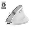 Mouse Gamer Trust Bayo Ergo Multidispositivo Wireless White thumbnail