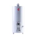 Termotanque a Gas 80Lts Rheem TPG080GNRH Pie C/Superior thumbnail