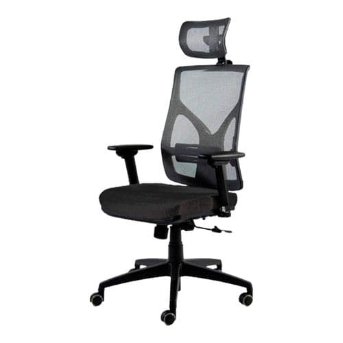 Silla Erasmo Focus