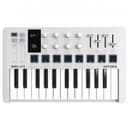 Arturia Minilab 3 Controlador Midi 25 Teclas 8 Pads thumbnail