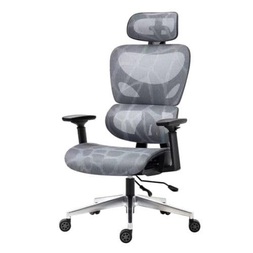 Silla Erasmo Wave