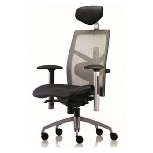 Silla Erasmo Exact