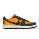 Nike Terminator Low Michigan thumbnail